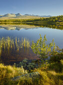 Mysusaeter, See Bergetjönne, Rondane Nationalpark, Oppland, Norwegen