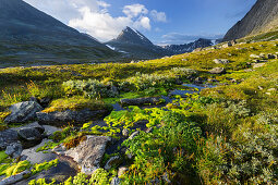 Verklisdalen, Trolltinden, Rondane Nationalpark, Oppland, Norwegen