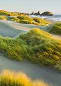 Sanddünen im Pistol River State Park, Oregon, USA