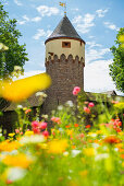 Lauerturm, Ettlingen, Schwarzwald, Baden-Württemberg, Deutschland