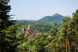 Burg Berwartstein Castle, Erlenbach, Palatinate Forest, Palatinate, Rhineland-Palatinate, Germany