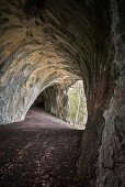 ' cave ''Great Barn'' at Rosen Rock, Heubach, Ostalb district, Swabian Alb, Baden-Wuerttemberg, Germany'