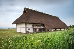 nave long house at open air museum Heuneburg, celtic settlement Pyrene, Hundersingen urban district of Herbertingen, Sigmaringen district, Swabian Alb, Baden-Wuerttemberg, Germany