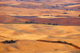 View from Steptoe Butte at the Palouse , Washington , U.S.A. , America