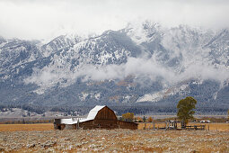 Barn in the Antelope Flats , Early snow , Grand Teton National Park , Wyoming , U.S.A. , America