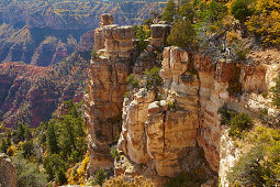 View from Point Imperial , Grand Canyon National Park , North Rim , Arizona , U.S.A. , America