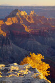 Blick vom Bright Angel Point in den  Bright Angel Canyon , North Rim , Grand Canyon National Park , Arizona , U.S.A. , Amerika