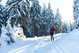 Women skiing in a winter forest, cross-country skiing, winter landscape, fir trees covered with snow, Ski area, Harz, MR, Sankt Andreasberg, Lower Saxony, Germany