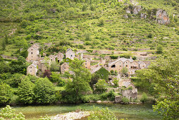 Blick auf Hauterives,  Gorges du Tarn,  Lozère,  Occitanie,  Frankreich