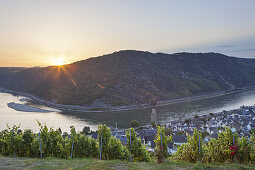 View over the vineyards at Oberwesel and the Rhine, Upper Middle Rhine Valley, Rheinland-Palatinate, Germany, Europe
