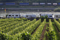 Campingplatz in Trechtingshausen am Rhein am gegenüberliegenden Ufer eine Bahnstrecke, Oberes Mittelrheintal, Rheinland-Pfalz, Deutschland, Europa