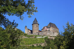 View at Burg Stahleck Castle and the vineyards above Bacharach, Upper Middle Rhine Valley, Rheinland-Palatinate, Germany, Europe