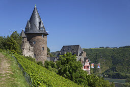 Blick auf Burg Stahleck, den Rhein und die Weinberge oberhalb von Bacharach, Oberes Mittelrheintal, Rheinland-Pfalz, Deutschland, Europa