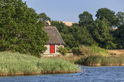 Haus bei Selsø Havn am der Bucht Roskilde Fjord, Insel Seeland, Dänemark, Nordeuropa, Europa