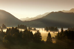 Morning Fog in the mountains, Allgaeu Alps, Allgaeu, Bavaria, Germany