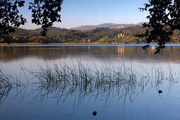 Blick über den Laacher See zum Kloster Maria Laach, Eifel, Rheinland-Pfalz, Deutschland