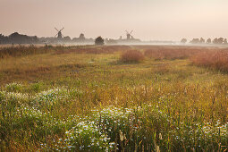 Twin windmills, Greetsiel, East Friesland, Lower Saxony, Germany