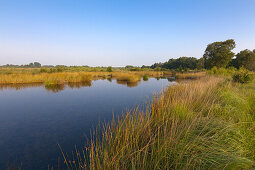 Hochmoorsee im Naturschutzgebiet „Ewiges Meer“ Ostfriesland, Niedersachsen, Deutschland