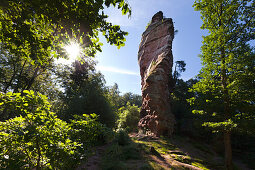 Rock needle, near Annweiler, Palatinate Forest, Rhineland-Palatinate, Germany