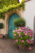 Vintner house, Rhodt unter Rietburg, Palatinate Forest, Rhineland-Palatinate, Germany