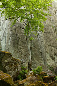 Basaltformation Steinwand, bei Poppenhausen, Rhön, Hessen, Deutschland