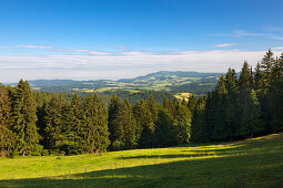 View from the Black Forest Panoramic Road, Black Forest, Baden-Wuerttemberg, Germany