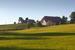 Schwarzwaldhöfe an der Schwarzwaldpanoramastraße bei Breitnau, Südlicher Schwarzwald, Baden-Württemberg, Deutschland