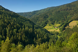 Blick ins Simonswälder Tal, Südlicher Schwarzwald, Baden-Württemberg, Deutschland