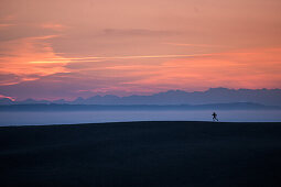 Junger Mann läuft über eine Wiese bei Sonnenaufgang, Allgäu, Bayern, Deutschland