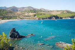Snorkeling along the beach, Platja de Garbet, Llançà, Girona, Costa Brava, Mediterranean Sea, Catalonia, Spain