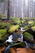 Bachlauf am Fuße des Brocken, Nationalpark Harz, Sachsen-Anhalt, Deutschland