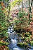 Bachlauf des Disbach im Herbst, Biosphärenreservat Rhön, Naturpark Bayerische Rhön, Bayern, Deutschland