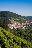 View across vineyard to Klingenberg am Main, Erlenbach am Main, Spessart-Mainland, Bavaria, Germany