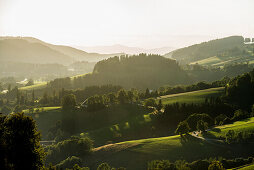 Panorama, St Peter, Schwarzwald, Baden-Württemberg, Deutschland