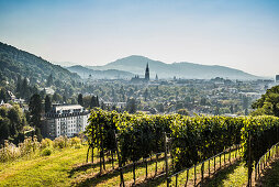 panoramic view, Freiburg, Black Forest, Baden-Wuerttemberg, Germany