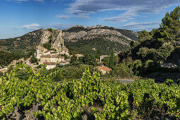 Weinbau bei La Roque Alric, Vaucluse, Frankreich