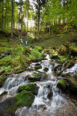 Bach am Schauinsland, bei Freiburg im Breisgau, Südschwarzwald, Schwarzwald, Baden-Württemberg, Deutschland