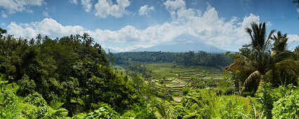 Reisterrassen und Vulkan Agung, Mahagiri, Bali, Indonesien