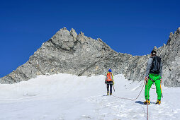 Man and woman ascending on glacier Kuchelmoosferner, Wildgerlosspitze in background, Kuchelmoosferner, Zillergrund, Reichenspitze group, Zillertal Alps, Tyrol, Austria