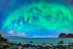 Aurora borealis, Polarlicht über Strand und Nordmeer, Lofoten, Norland, Norwegen