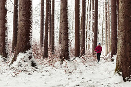 young woman running in snow-covered forest, Berg, Lake Starnberg, Bavaria, Germany.