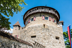 Das Schloss Vaduz liegt auf einer Felsterrasse über dem Hauptort des Fürstentums, Vaduz, Liechtenstein