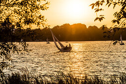 Sailing boats on the lake Aussenalster at sunset, Hamburg, Germany