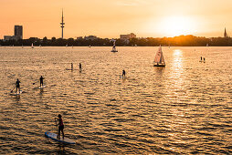 Stand up canoeist and sailing boats on lake Aussenalster at sunset, Hamburg, Germany