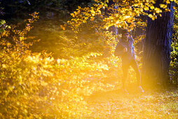 Young man running through a colorful autumn forest, Allgaeu, Bavaria, Germany