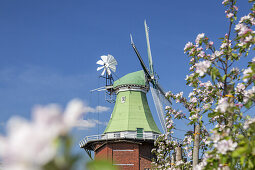 Gallerieholländerwindmühle Venti Amica in Hollern-Twielenfleth, Altes Land, Niedersachsen, Norddeutschland, Deutschland, Europa