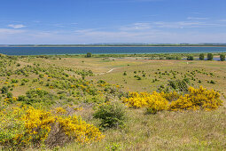 Blick vom Dornbusch auf die Insel Rügen, bei Kloster, Insel Hiddensee, Ostseeküste, Mecklenburg-Vorpommern,  Norddeutschland, Deutschland, Europa