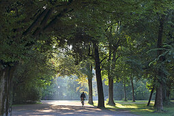 Morning walk, English Garden, Englischer Garten, Munich, Bavaria, Germany