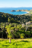 native bush and open farmland, Port Jackson, sheltered bay, landscape, Coromandel Peninsula, North Island, New Zealand