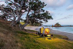 idyllic camping location, shady old Pohutukawa tree, empty beach, 4WD Campervan, Campsite, Elliot Bay, North Island, New Zealand